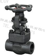 鍛鋼(gāng)閘閥 Z61Y、Z61H