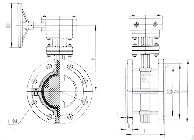 襯氟(fú)蝶閥結構(gòu)示意圖