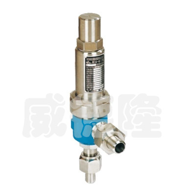 焊接(jiē)彈簧微啟(qǐ)式安全閥(fá)A61H/Y-160/320