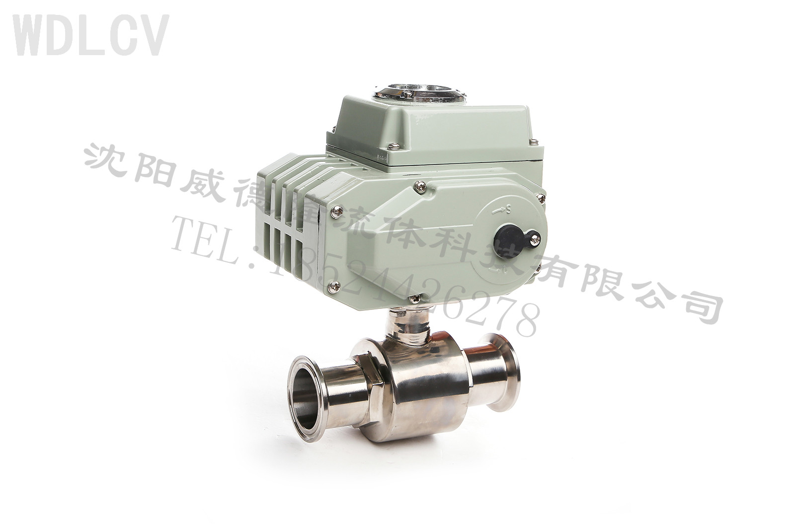 衛(wèi)生級電動(dong)球閥 WDLQ981F