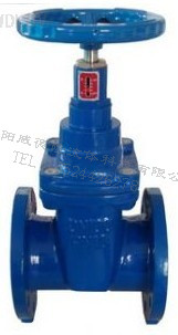 直埋式軟(ruan)密封閘閥(fa)ZM45X